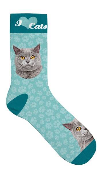 Socken "British shorthair"